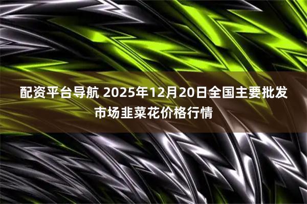 配资平台导航 2025年12月20日全国主要批发市场韭菜花价格行情